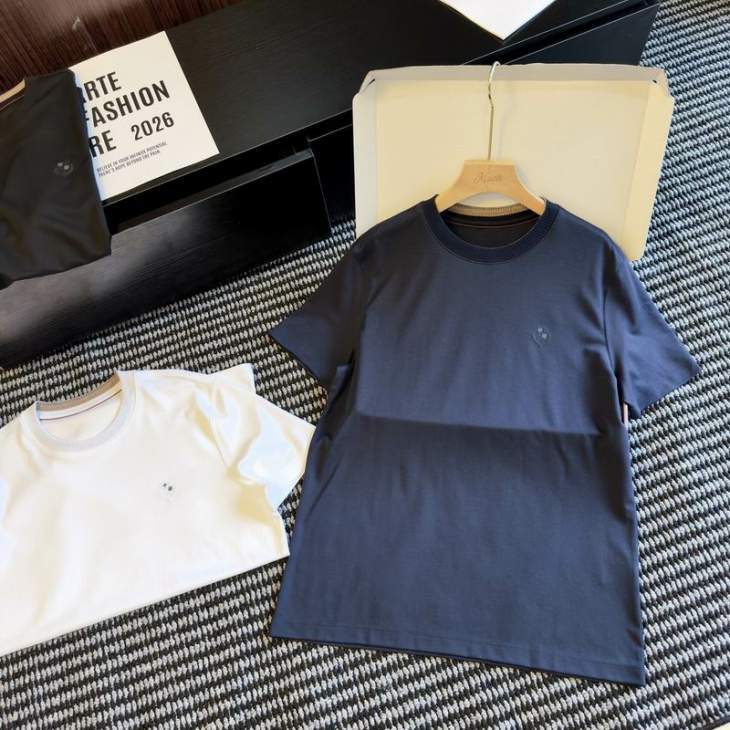 Loro Piana T Shirts Short _SKULoroPianaM-3XLxetr198732
